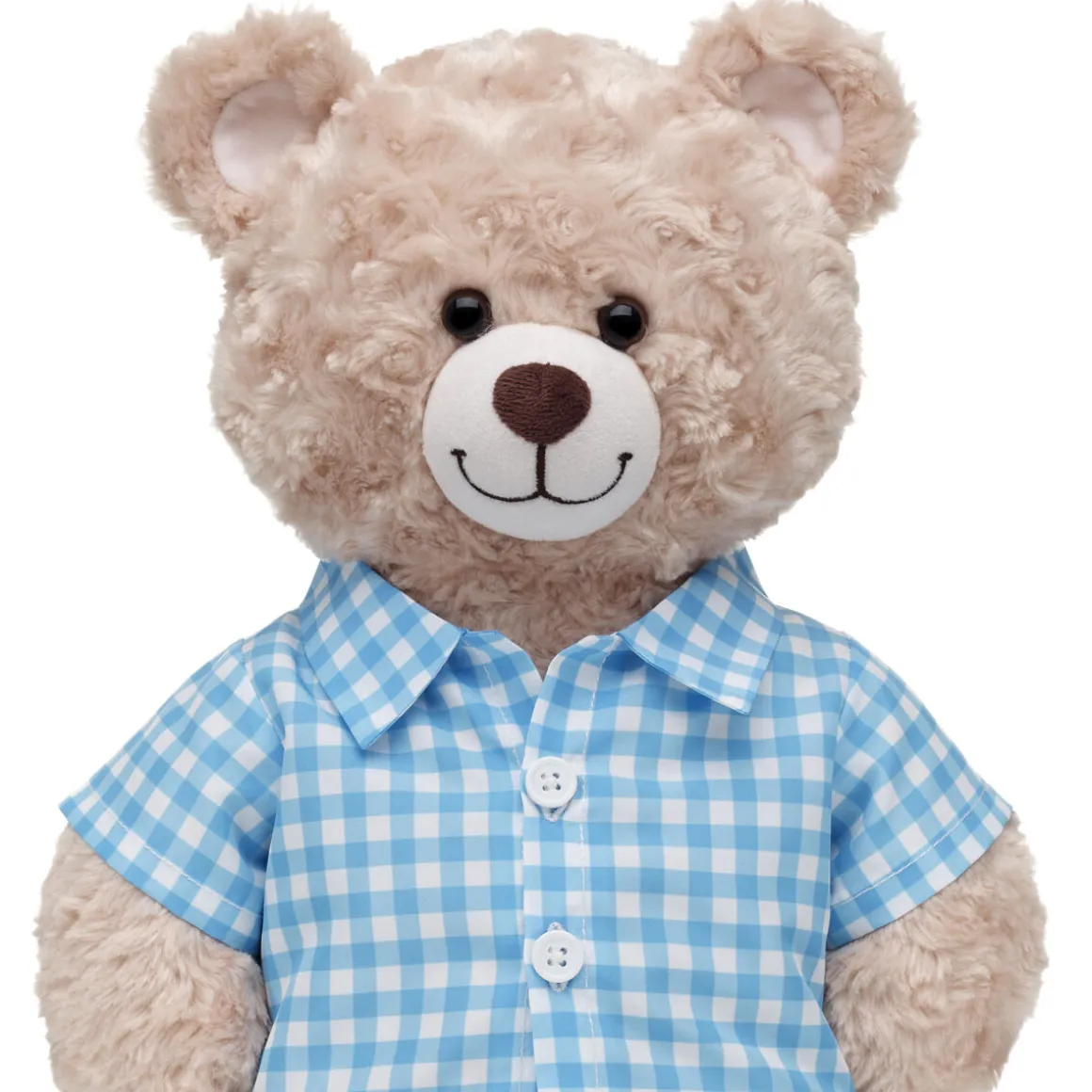 Blue Gingham Shirt