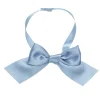 Blue Ribbon Gift Bow