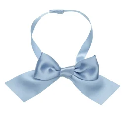 Blue Ribbon Gift Bow