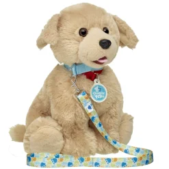 Promise Pets™ Blue Leash