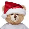 Red Santa Hat