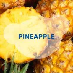 SCENTiments™ Fresh Pineapple Scent