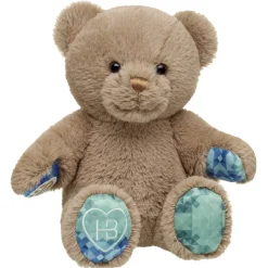 Well Wishes Teddy Bear